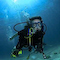 Diver